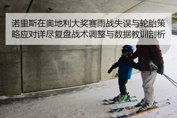 诺里斯在奥地利大奖赛雨战失误与轮胎策略应对详尽复盘战术调整与数据教训剖析